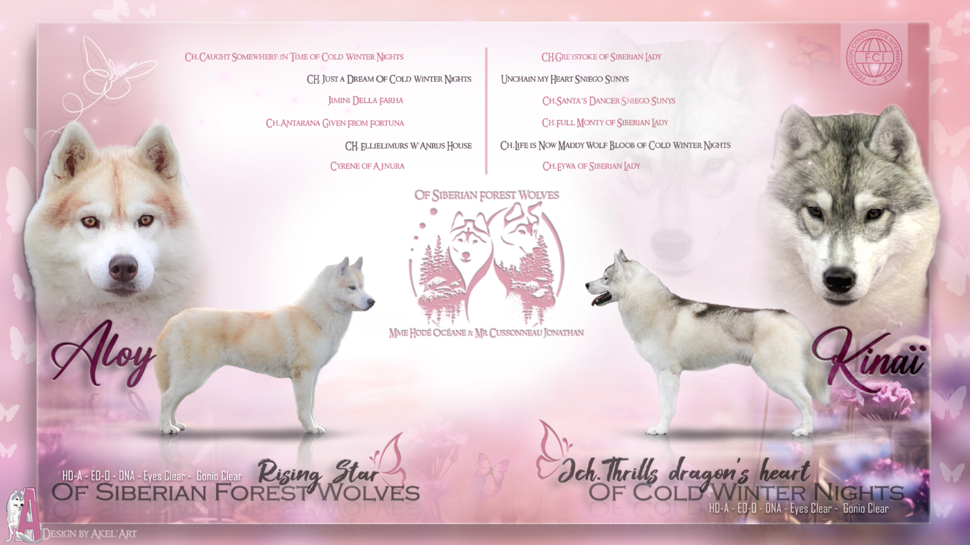 Futur mariage